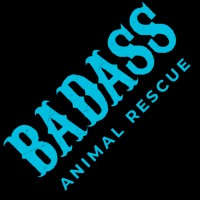 https://images.rankiteo.com/companyimages/badass-brooklyn-animal-rescue.jpeg