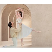 https://images.rankiteo.com/companyimages/ballet-arkansas.jpeg