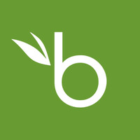 https://images.rankiteo.com/companyimages/bamboohr.jpeg