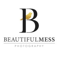 https://images.rankiteo.com/companyimages/beautiful-mess-photography.jpeg