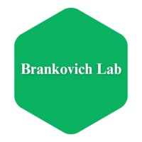 https://images.rankiteo.com/companyimages/brankovich-lab.jpeg