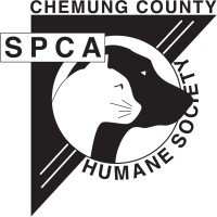 https://images.rankiteo.com/companyimages/chemung-county-humane-society-&-spca.jpeg
