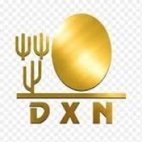 https://images.rankiteo.com/companyimages/dxn-internacional.jpeg