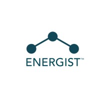 https://images.rankiteo.com/companyimages/energist-group.jpeg