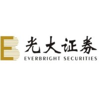 https://images.rankiteo.com/companyimages/everbright-securities.jpeg