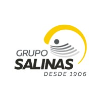 https://images.rankiteo.com/companyimages/grupo-salinas.jpeg