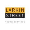 https://images.rankiteo.com/companyimages/larkin-street-youth-services.jpeg
