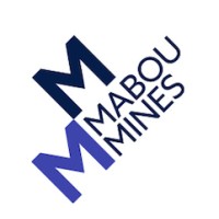 https://images.rankiteo.com/companyimages/mabou-mines-development-fndtn.jpeg
