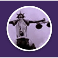 https://images.rankiteo.com/companyimages/national-judicial-conduct-and-disability-law-project-inc-.jpeg
