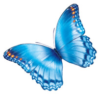 https://images.rankiteo.com/companyimages/nationwide-childrens-hospital.jpeg