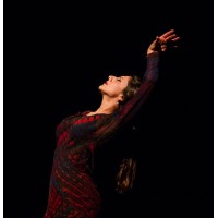 https://images.rankiteo.com/companyimages/omayra-amaya-flamenco-dance-company-inc..jpeg
