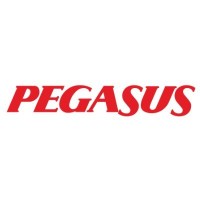 https://images.rankiteo.com/companyimages/pegasus-airlines.jpeg