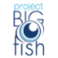 https://images.rankiteo.com/companyimages/project-big-fish.jpeg