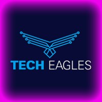 https://images.rankiteo.com/companyimages/tech-eagles.jpeg
