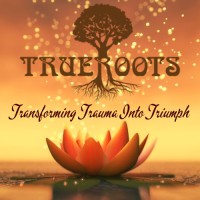https://images.rankiteo.com/companyimages/true-roots-counselling-services.jpeg