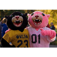 https://images.rankiteo.com/companyimages/washington-local-schools.jpeg