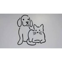 https://images.rankiteo.com/companyimages/york-animal-hospital.jpeg